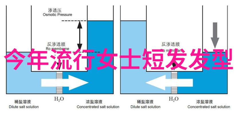 美发设计与造型实操培训现场教学视频专业美发课程学习