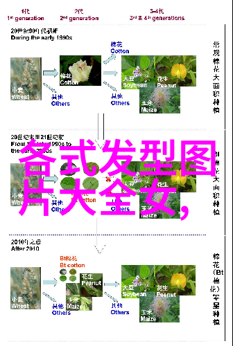 30岁女人最新发型时尚潮流与个人风格的完美结合