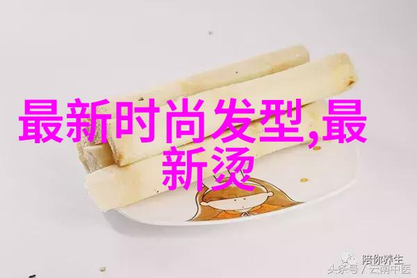 东岑西舅口片段中的家族秘密