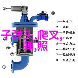 百川资讯网楚乔传大结局解析楚乔选择嫁给燕洵元淳刺杀计划遭捕