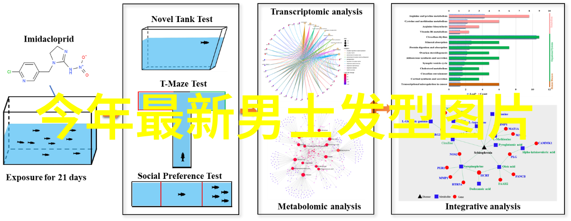 出嫁的从夫