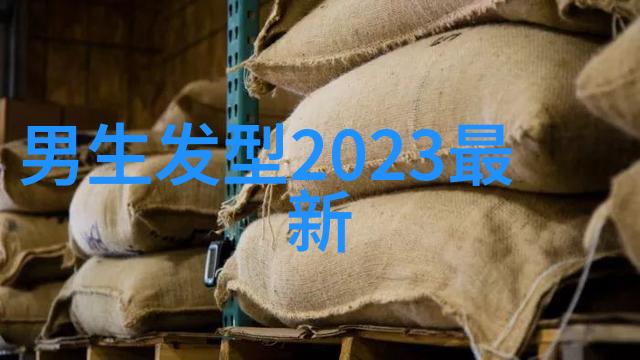 美发潮流-2023年最时尚的女生发型新一代美丽背后的造型