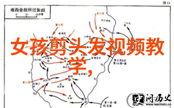 给自己编头发教程我来教你如何在家里像专业人士一样搞定你的发型