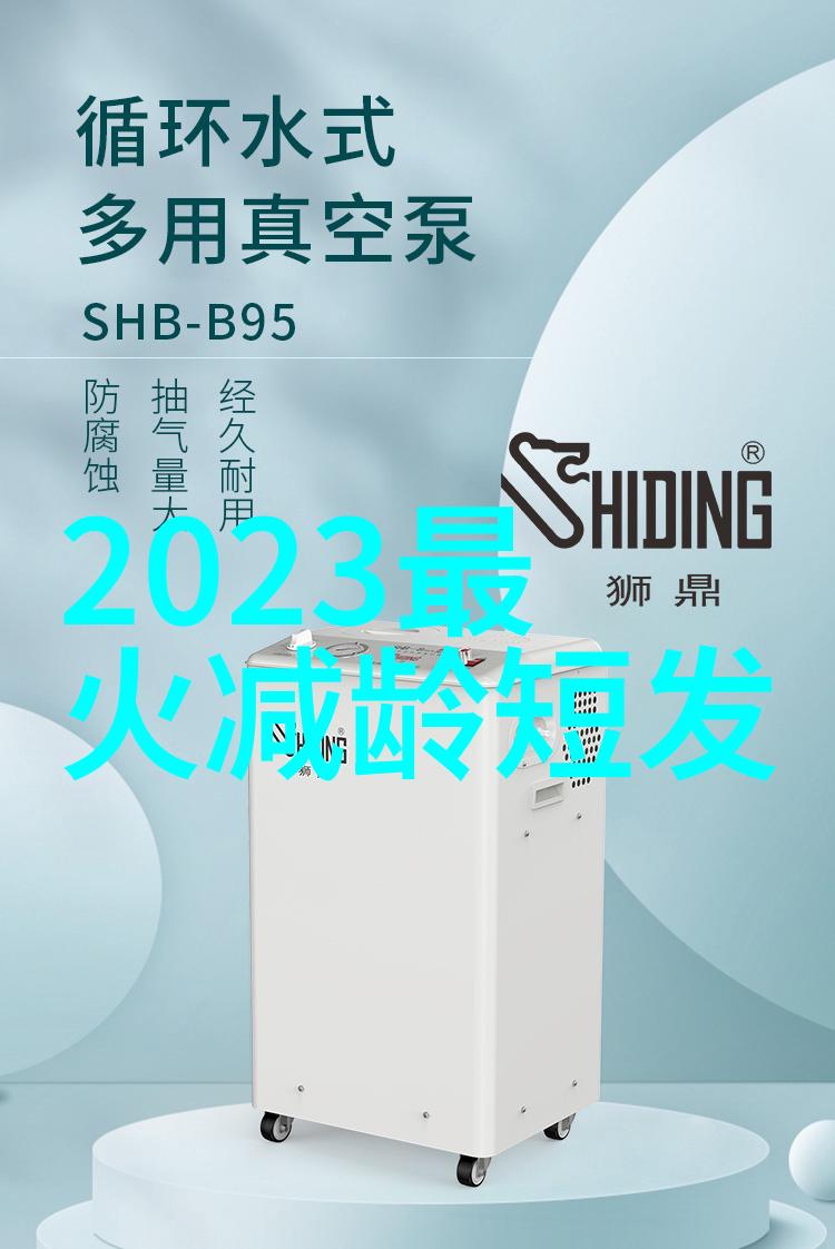 2023年流行发型盘点从短发到长卷时尚界的新宠儿