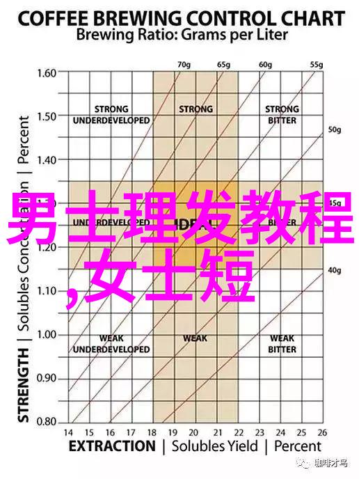 副手的使命探索副官助理与代理人的角色