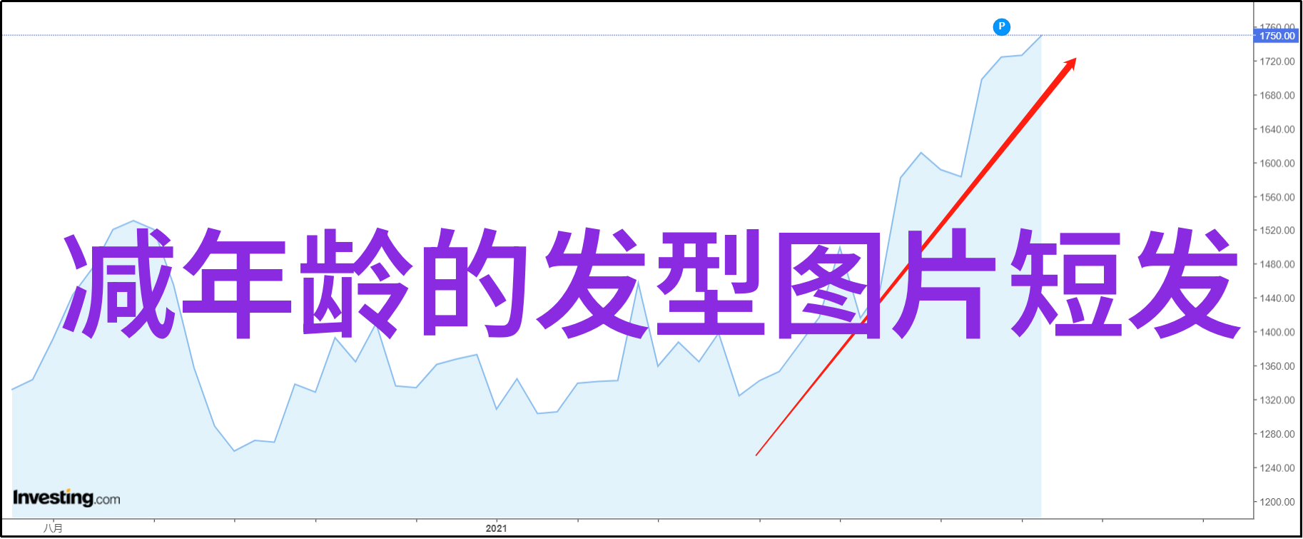 发型变革从无知到造型大师的奇妙旅程