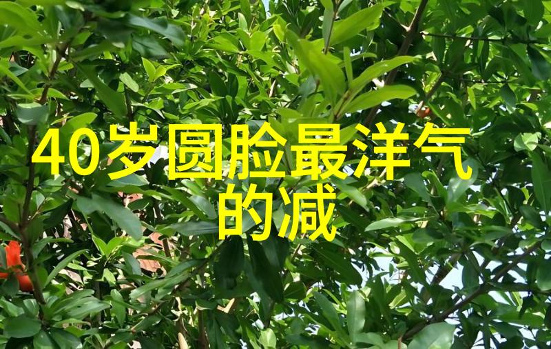 学美发的好去处揭秘那些让你秀发亮泽的秘密基地