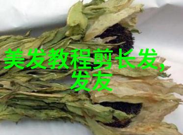 发型设计与护理技巧专业课程让你掌握精髓