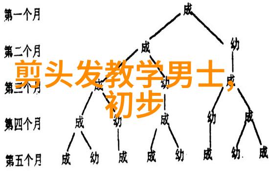 什么是基本的剪发技巧和动作原则呢