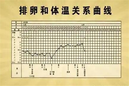 黑锅txt全集下载-追踪黑色秘密揭开黑锅文本世界的神秘面纱