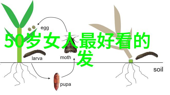 超级简约的超短发照片编辑方法让人看上去更童颜