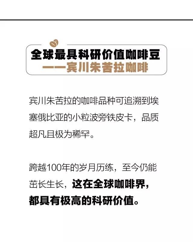 花开满头的晚年60岁女人2022款逆袭发型风潮