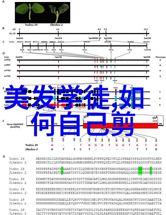 男士短发时尚演变与审美趋势分析