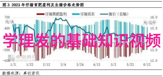 探秘让我看看你茂密的小森林