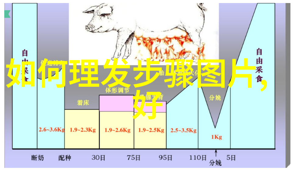 新生头颅家中小实验成功转型