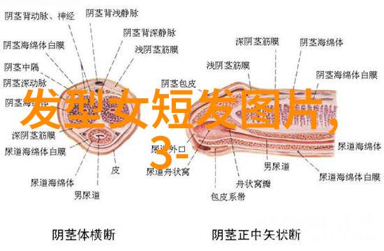 剪刀边缘高级美发培训班的秘密