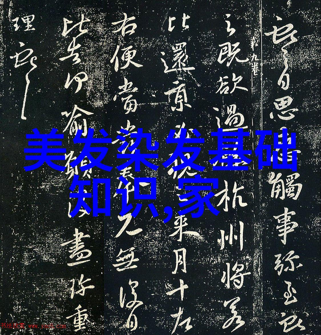 数字奇迹1111背后的秘密与意义