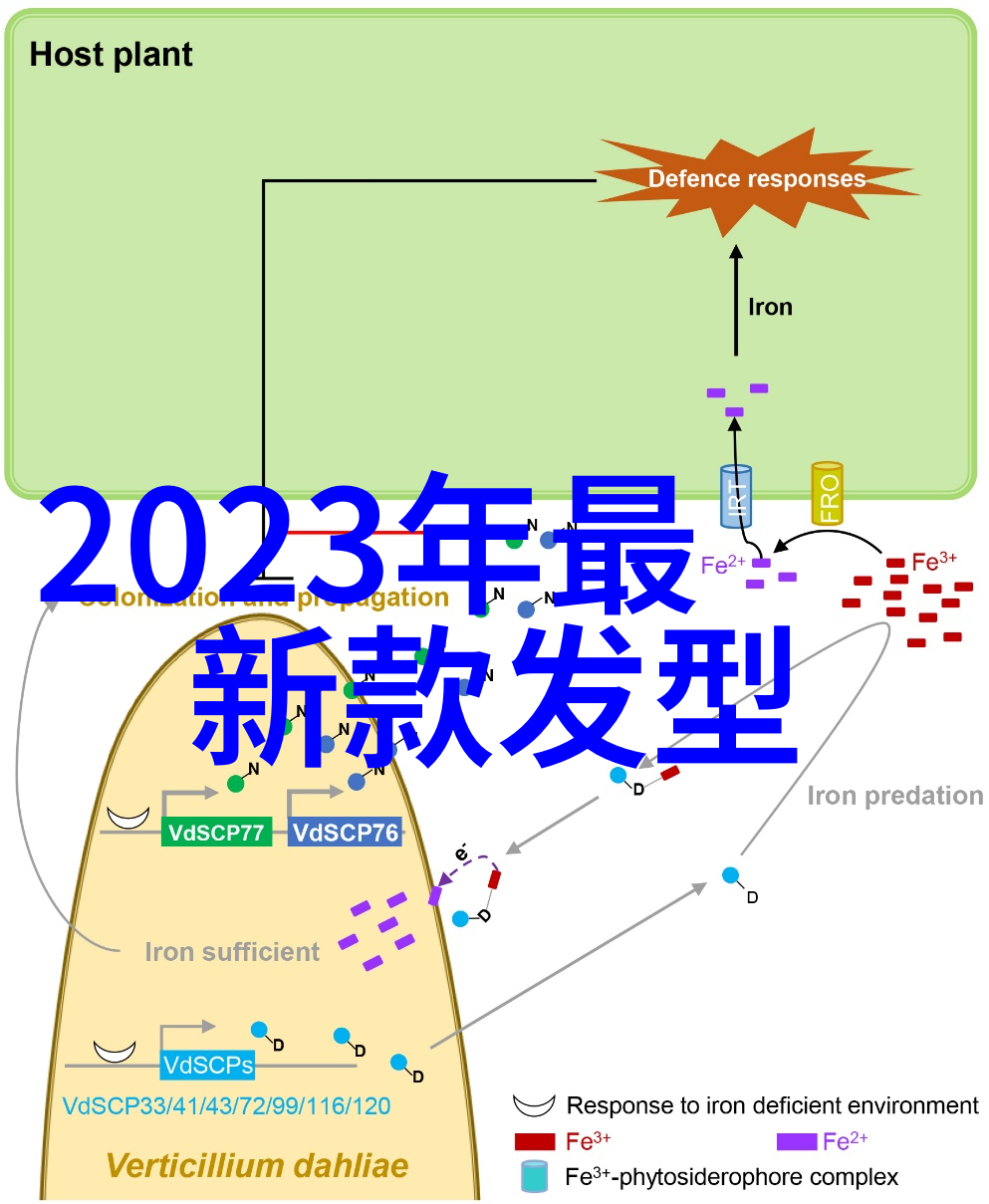 时尚美发-短发风格的魅力探索最新短发发型图片大全