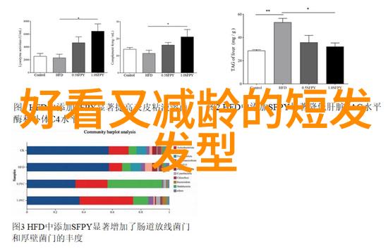 探索美容美发学府哪些机构让你焕然一新