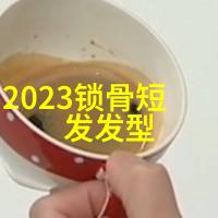 纱笺里的梦编发型女中长发的诗意