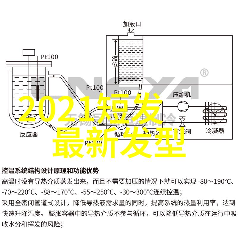 从头到脚的时尚革新中年女士短发图片展示