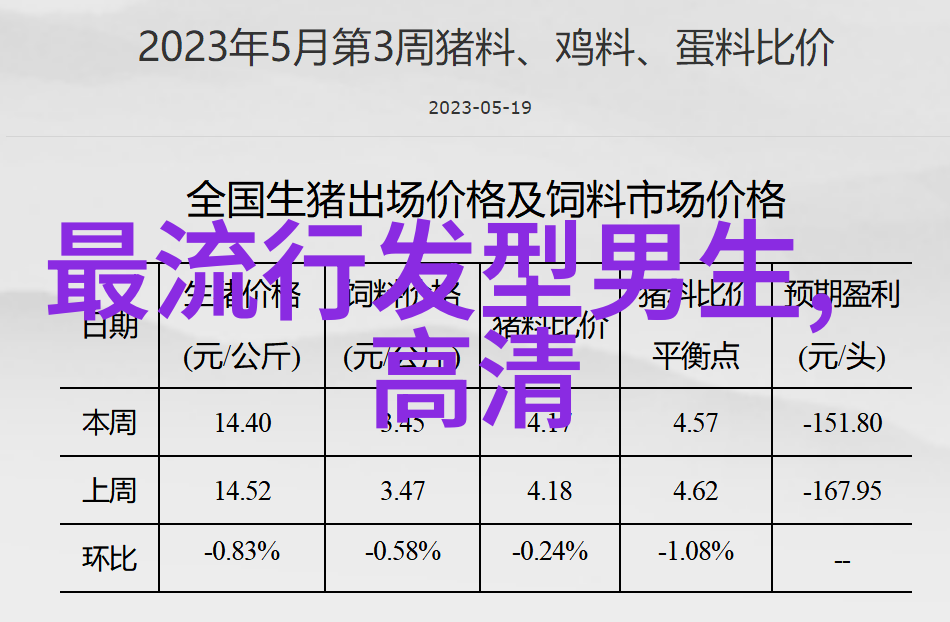 资讯网站揭秘公主的战俘杀青反复展示恢弘巨制的魅力