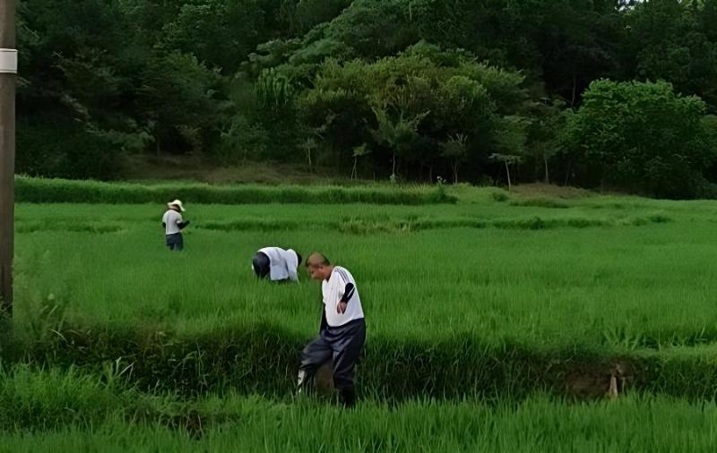 发型界的二八定律男生美发世界中的奇迹与魅力