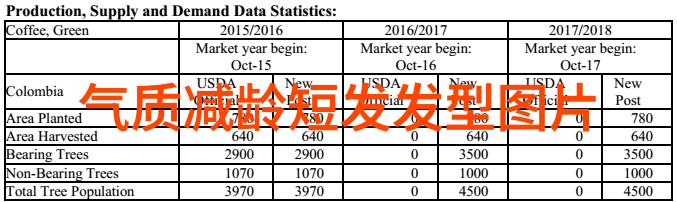 发型设计免费时尚美容无限可能