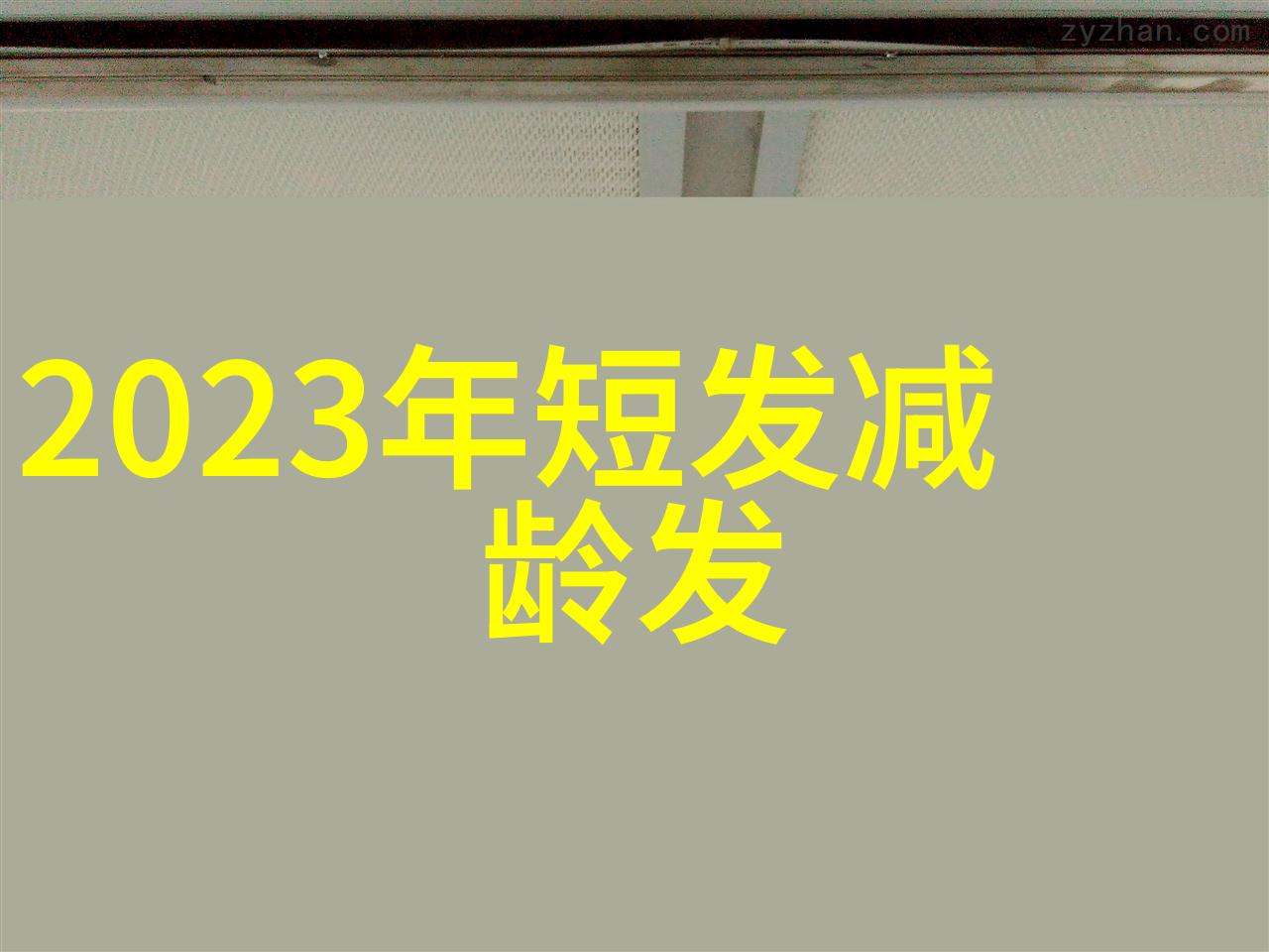 副局长高级执法官员的职位