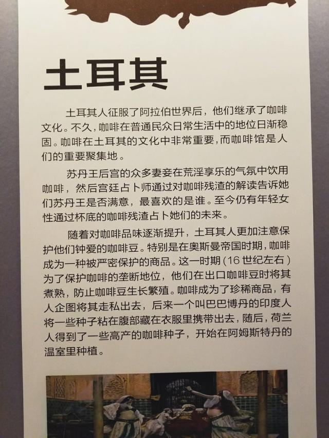 美丽启航探索完美容颜与发质的秘密课程