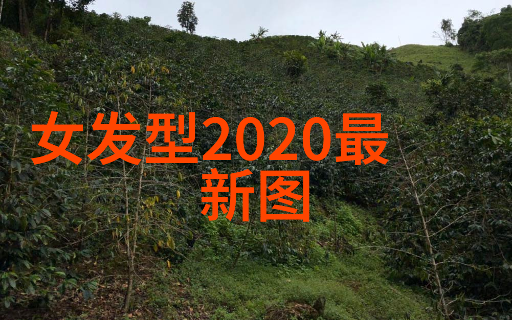 2022年最新发型我这是怎么了新发型给我的改变有多大