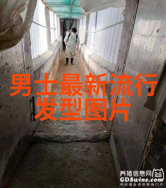 揭秘杨洪刚理发初级教程解锁他的剪刀技巧与不为人知的造型秘诀