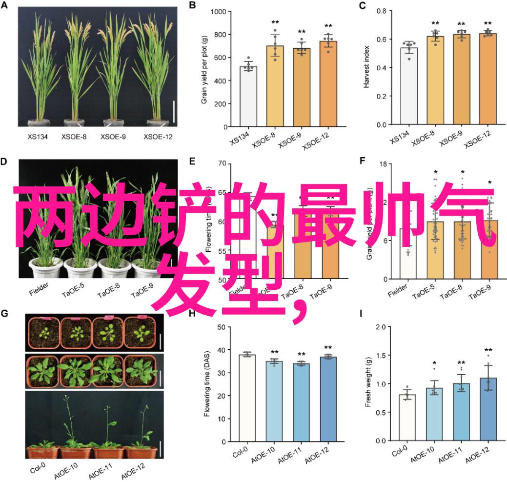 如何根据脸型选择适合自己的男生短发式样