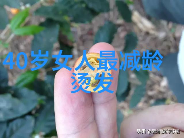 龙影咒语驱魔龙族之极品言灵师的传说