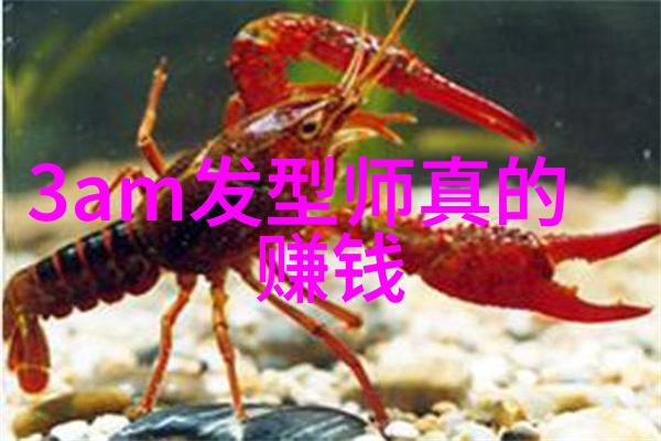 美发新手的剪发之谜学校直剪能吗