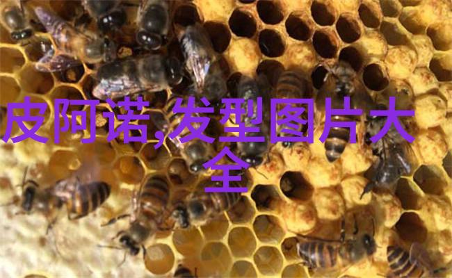 黑月光下的BE揭秘稳定关系的全文指南