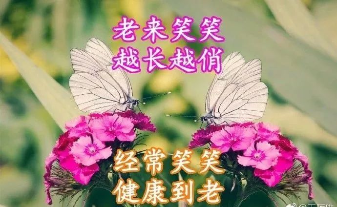 剪刀锋利头发柔软理发室的双重世界