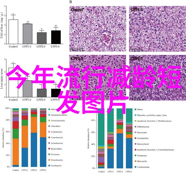 40岁女人最有气质的短发我如何用一头完美的短发让自己在40岁依然吸引眼球