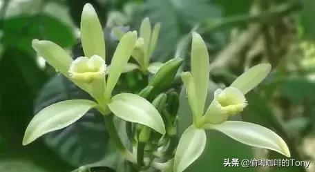 短发造型大师女士剪发基础技巧解析