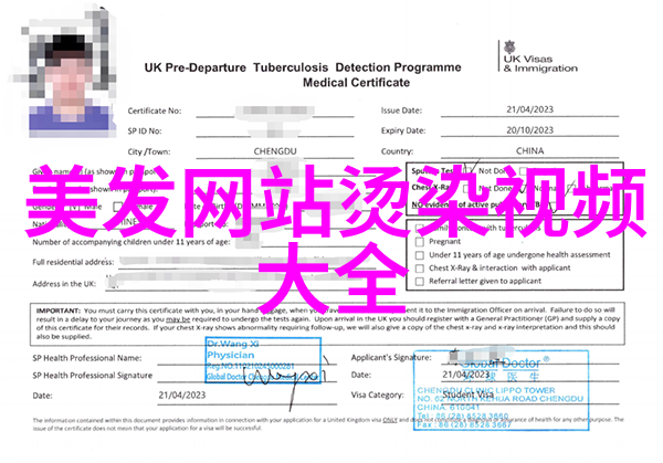 副手的挑战副官如何应对紧急任务