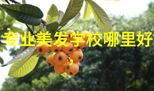 从理发师到失意人40岁人的职业转型之悲剧