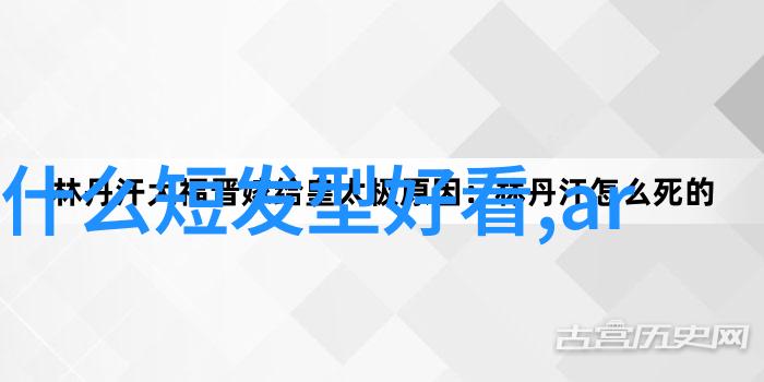 明星造梦49区幕后风云与梦想成真