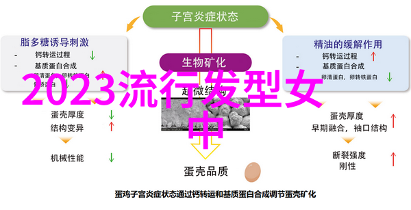 通过高级美发培训我有机会接触国际化的造型风格和趋势吗