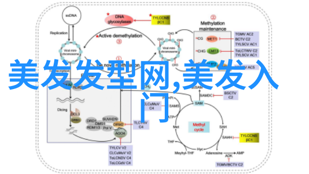 四十美妆精选碎发发型让40岁女人焕发青春光彩