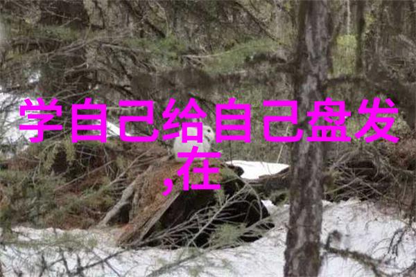 发型师培训课程掌握秘诀轻松搭配完美模板