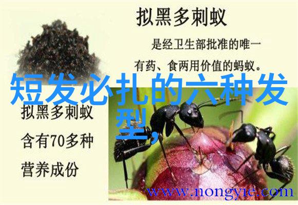 未解之谜简单大方的发型扎法背后的秘密