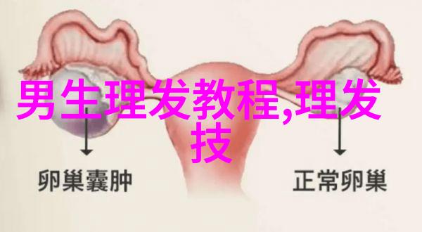 美发工具与设备介绍及使用方法