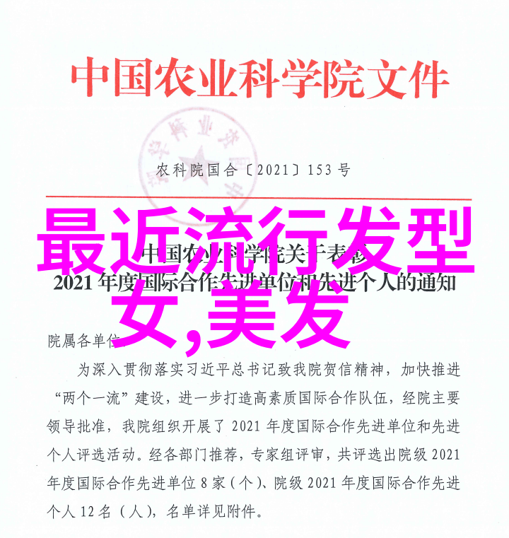 追逐梦想穿越时空经典与现代混搭的艺术演绎