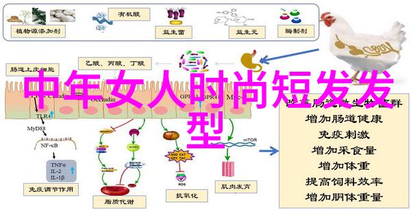 教官的卫生间秘密