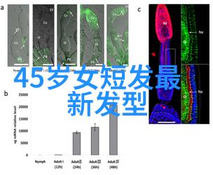 郭富城二度荣获英伦影帝称号电影麦路人在最新上映后成为伦敦影展的焦点作品